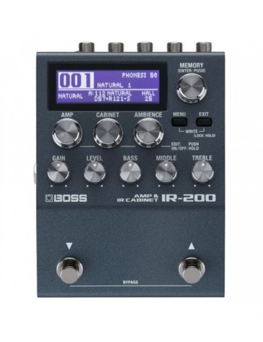 Boss IR-200 Amp & IR Cabinet