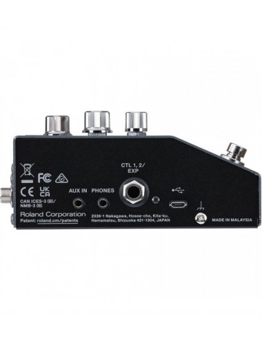 Boss IR-200 Amp & IR Cabinet