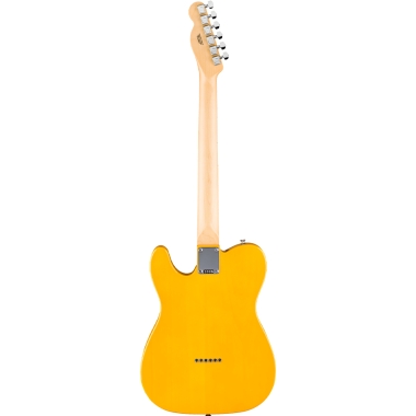 Fender Standard Tele MN BPG...