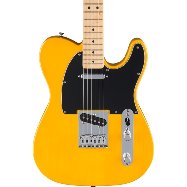 Fender Standard Tele MN BPG...