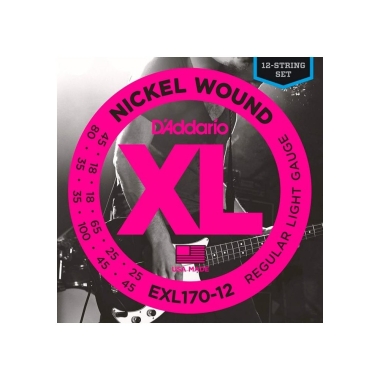 Daddario EXL170-12 (45-100)...