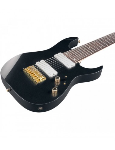 Ibanez RG80F-IPT Iron...