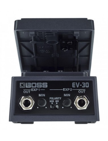 Boss EV-30 Dual Expression...