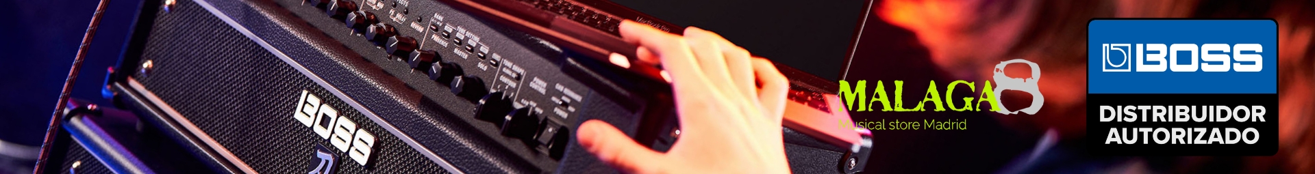 Distribuidor autorizado Boss