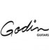 GODIN